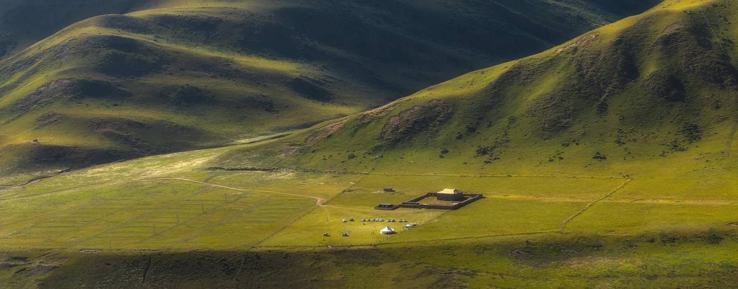 Bands of sunlight and shadow cross rolling green grassland.